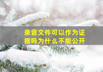 录音文件可以作为证据吗为什么不能公开