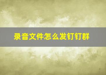 录音文件怎么发钉钉群