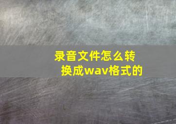 录音文件怎么转换成wav格式的