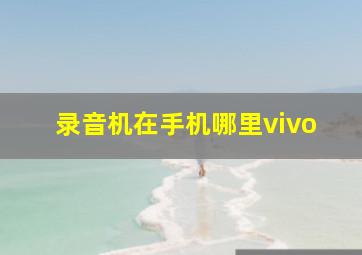 录音机在手机哪里vivo