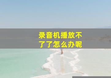 录音机播放不了了怎么办呢