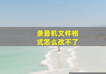 录音机文件格式怎么改不了