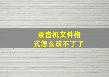 录音机文件格式怎么改不了了