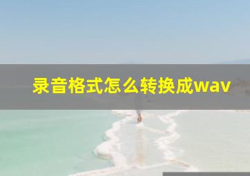 录音格式怎么转换成wav