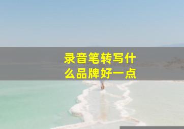 录音笔转写什么品牌好一点