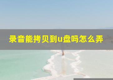 录音能拷贝到u盘吗怎么弄