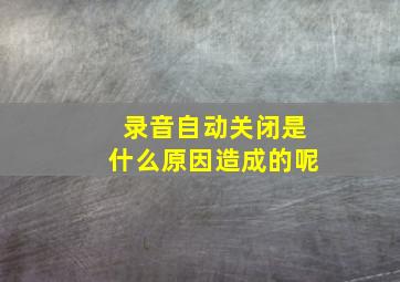 录音自动关闭是什么原因造成的呢