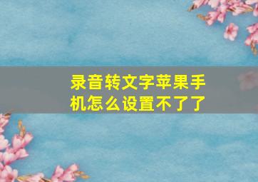 录音转文字苹果手机怎么设置不了了