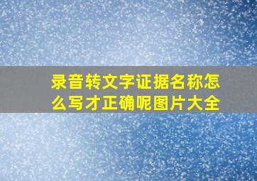 录音转文字证据名称怎么写才正确呢图片大全