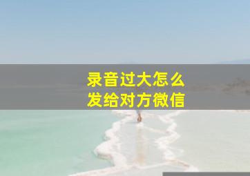 录音过大怎么发给对方微信