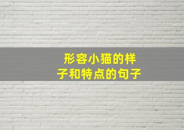 形容小猫的样子和特点的句子