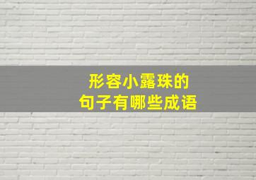 形容小露珠的句子有哪些成语