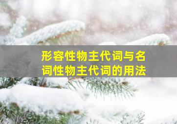 形容性物主代词与名词性物主代词的用法