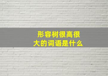 形容树很高很大的词语是什么