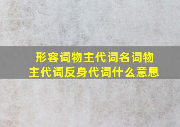 形容词物主代词名词物主代词反身代词什么意思