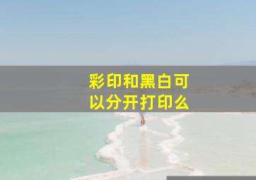 彩印和黑白可以分开打印么