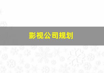 影视公司规划