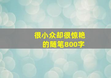 很小众却很惊艳的随笔800字