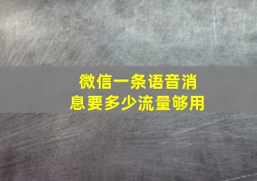 微信一条语音消息要多少流量够用