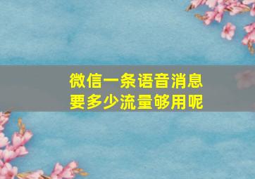 微信一条语音消息要多少流量够用呢