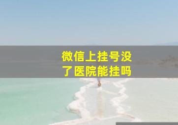 微信上挂号没了医院能挂吗