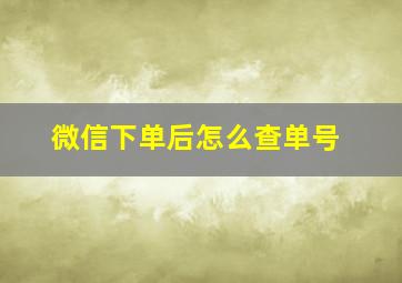 微信下单后怎么查单号