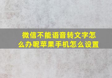 微信不能语音转文字怎么办呢苹果手机怎么设置