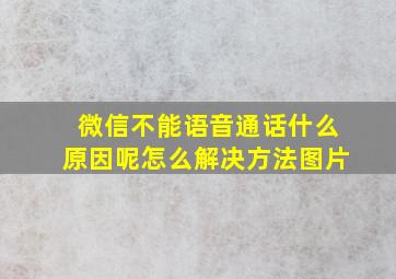 微信不能语音通话什么原因呢怎么解决方法图片