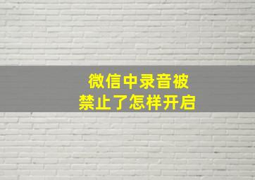 微信中录音被禁止了怎样开启