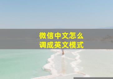 微信中文怎么调成英文模式