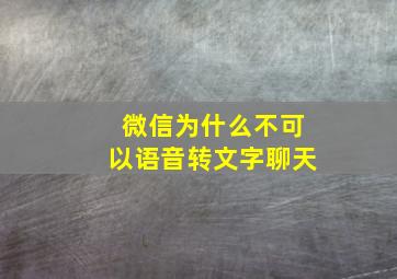 微信为什么不可以语音转文字聊天