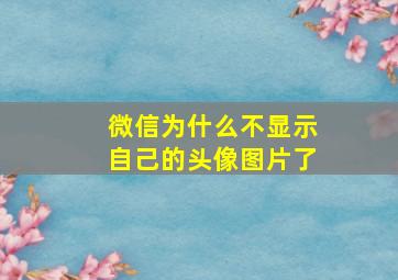 微信为什么不显示自己的头像图片了