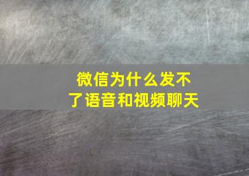 微信为什么发不了语音和视频聊天