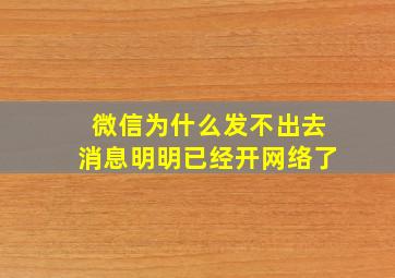 微信为什么发不出去消息明明已经开网络了