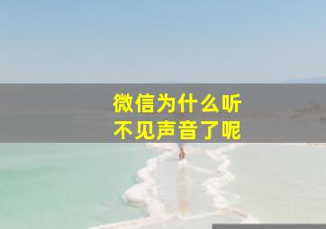 微信为什么听不见声音了呢