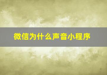 微信为什么声音小程序