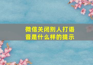 微信关闭别人打语音是什么样的提示