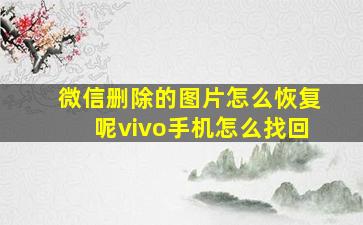 微信删除的图片怎么恢复呢vivo手机怎么找回