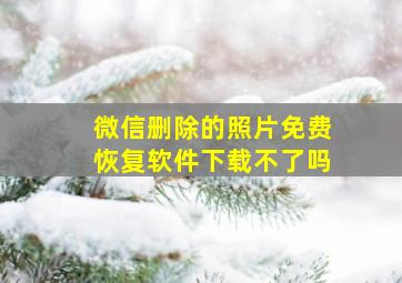 微信删除的照片免费恢复软件下载不了吗