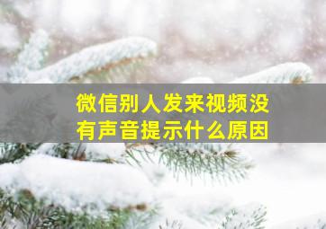 微信别人发来视频没有声音提示什么原因