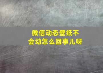 微信动态壁纸不会动怎么回事儿呀