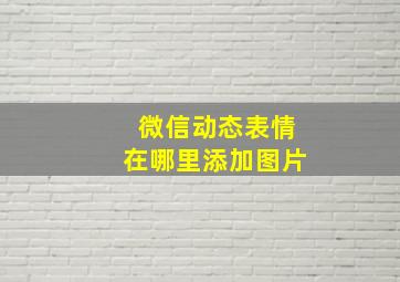 微信动态表情在哪里添加图片