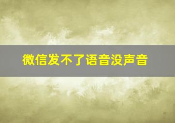 微信发不了语音没声音