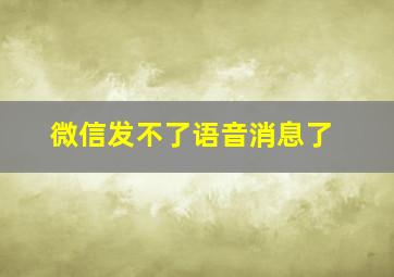 微信发不了语音消息了