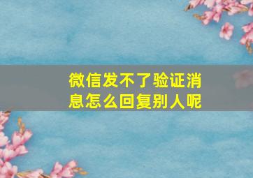 微信发不了验证消息怎么回复别人呢