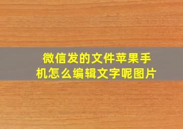 微信发的文件苹果手机怎么编辑文字呢图片