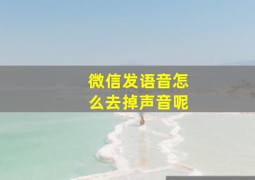 微信发语音怎么去掉声音呢