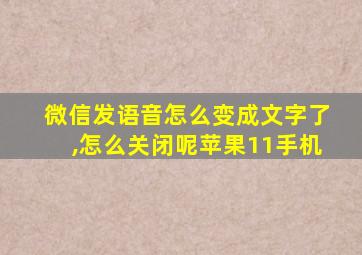 微信发语音怎么变成文字了,怎么关闭呢苹果11手机