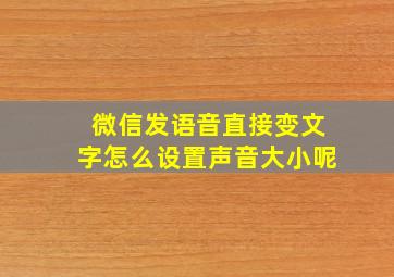 微信发语音直接变文字怎么设置声音大小呢