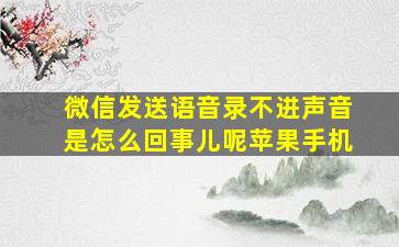 微信发送语音录不进声音是怎么回事儿呢苹果手机